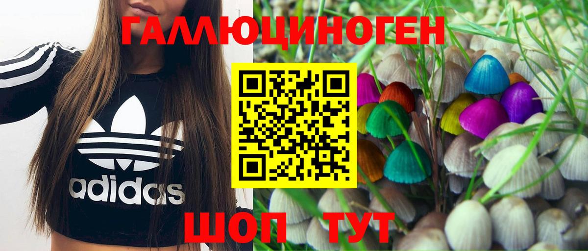 Псилоцибиновые грибы Magic Shrooms Орск