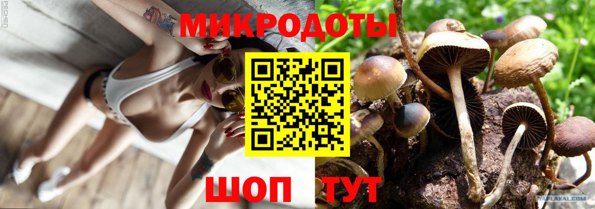 Орск  Псилоцибиновые грибы Psilocybine cubensis  Псилоцибиновые грибы мухоморы  Вход с VPN 